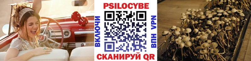 Псилоцибиновые грибы мицелий Южноуральск